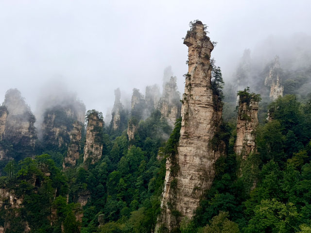 ⛰️ The Real-Life Mountains of Pandora