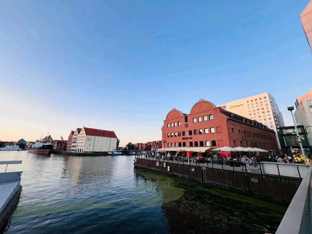 Riverside Paths🌅 Riverside Paths🌅