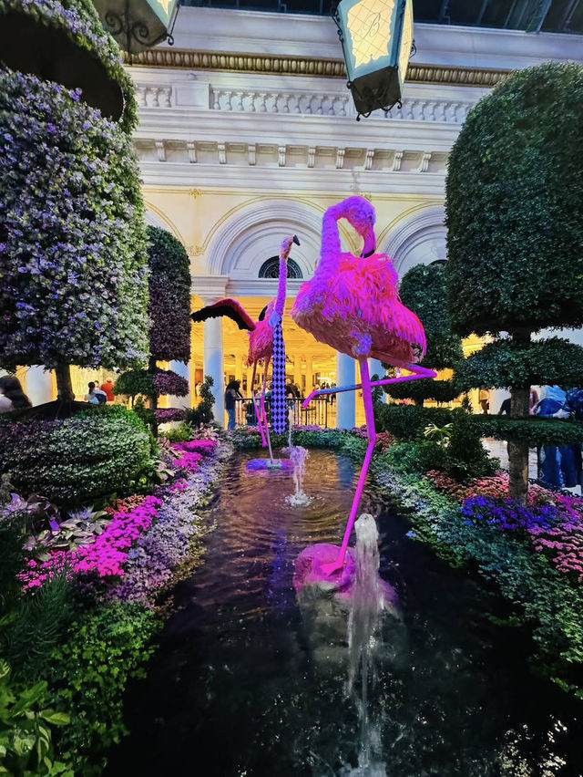 Finding calm in the heart of the conservatory. 🌿🌸💧