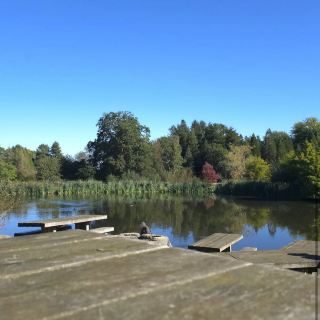Bedgebury National Pinetum and Forest