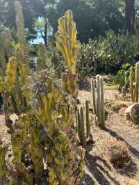 The Secret Garden of Trastevere: Where History Meets the Wilderness