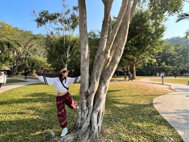 January in Xishuanbanna 
