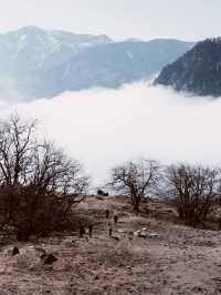 Alpine Spring-Hike in West-Sichuan