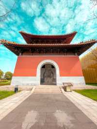 Immerse yourself in Buddhist Culture