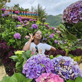 알렉산더 가든 가든 라푸라푸 시티