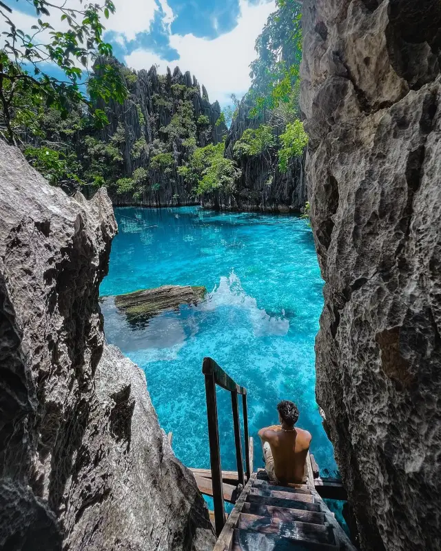 Twin Lagoon, Coron: Discover Stillness in Avatar's Realm! 🌎🌿