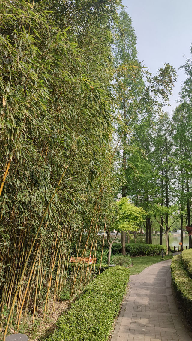 Pudong Jinqiao Park, the backyard of nearby residents, 30.