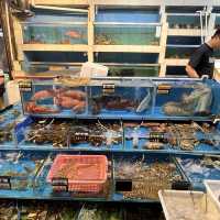 打卡深圳蛇口海鮮市場
