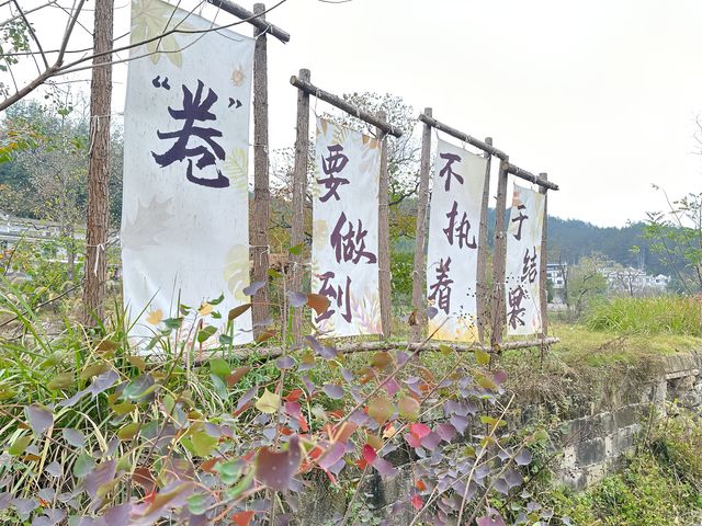 水墨大別山 大美河西畈