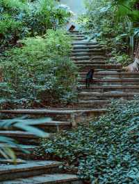 深圳這座免費的小眾公園我不敢告訴太多人，因為實在太好拍了！