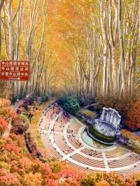 南京栖霞山最美的楓葉是孩子一生值得去的地方