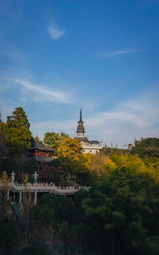 Half-day tour of Jing Mountain Temple in Hangzhou: Tranquility and beauty under the winter sun