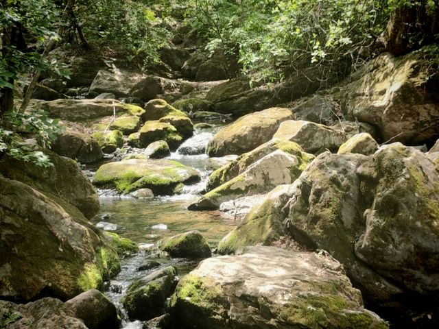 香爐山國家森林公園——哈爾濱周邊遊