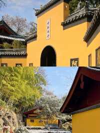 南京· 雪後的千年古剎雞鳴寺也太美了！