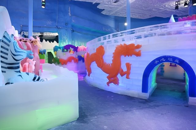 深圳人有自己的“爾濱”！｜深圳野生動物園裡的冰雪世界!