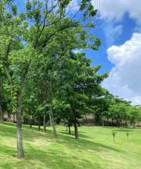 深圳白石龍音樂主題公園