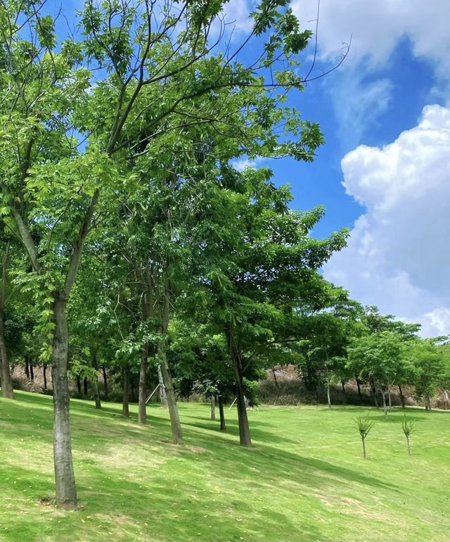 深圳白石龍音樂主題公園