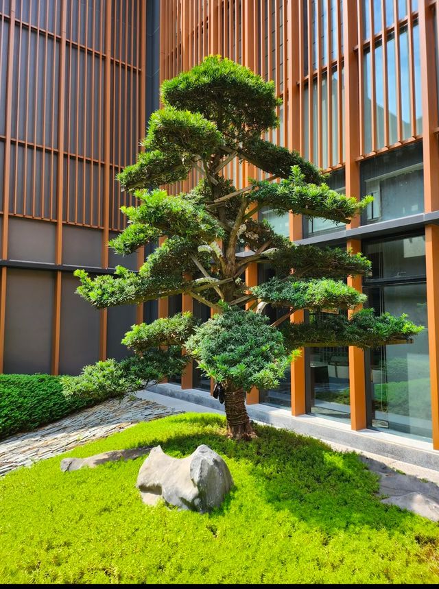 因為颱風逼近，導致臨時省外之行成空
