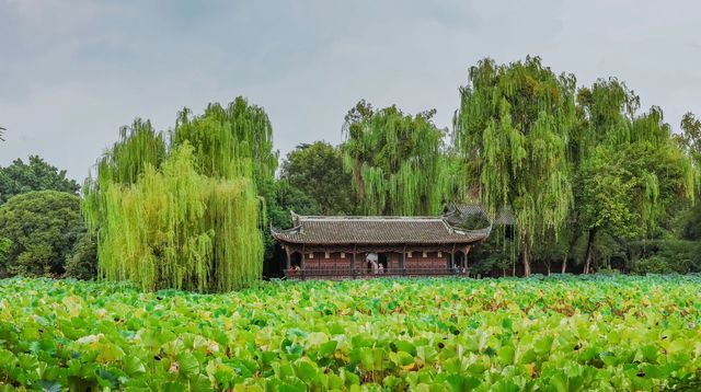 成都周邊｜適合懶人的一站式打卡遊玩指南|||