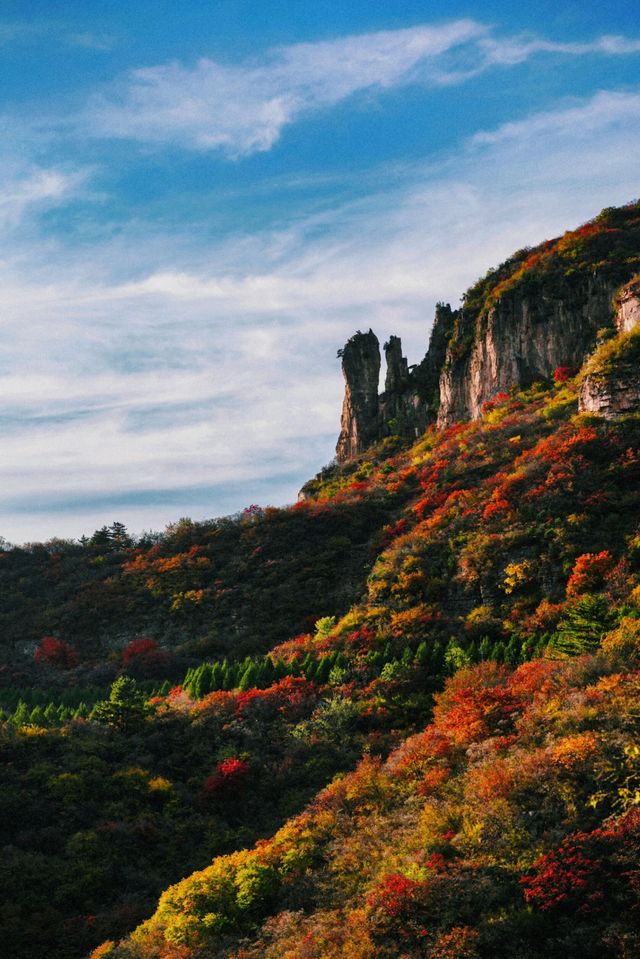 可能是莊裡最輕鬆的賞紅葉方式了定位：平山沕沕水空中畫