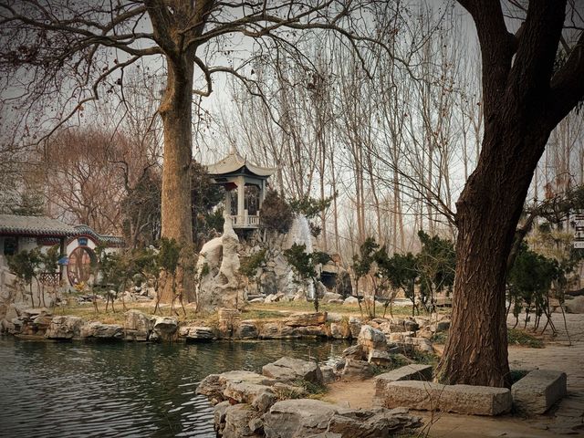 山東濟南‖你曾來過平陰感受玫瑰之鄉的浪漫嗎？