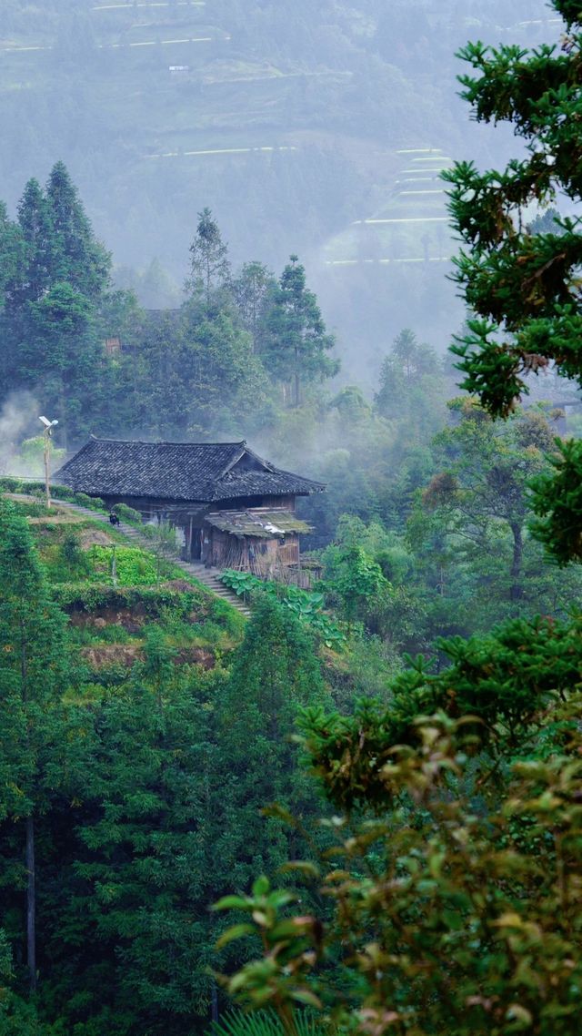 反向旅行 | 雀鳥苗寨——被遺忘的星球村落