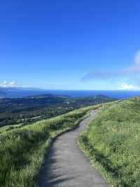 大室山真的像抹茶山