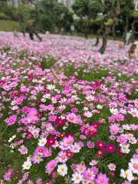 深圳西麗生態公園｜戶外溜孩子好去處
