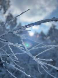 大雪將至九宮山的雪景萬萬不能錯過