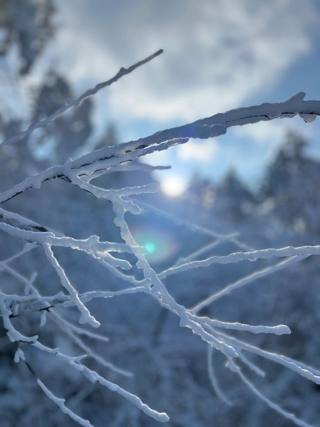 大雪將至九宮山的雪景萬萬不能錯過