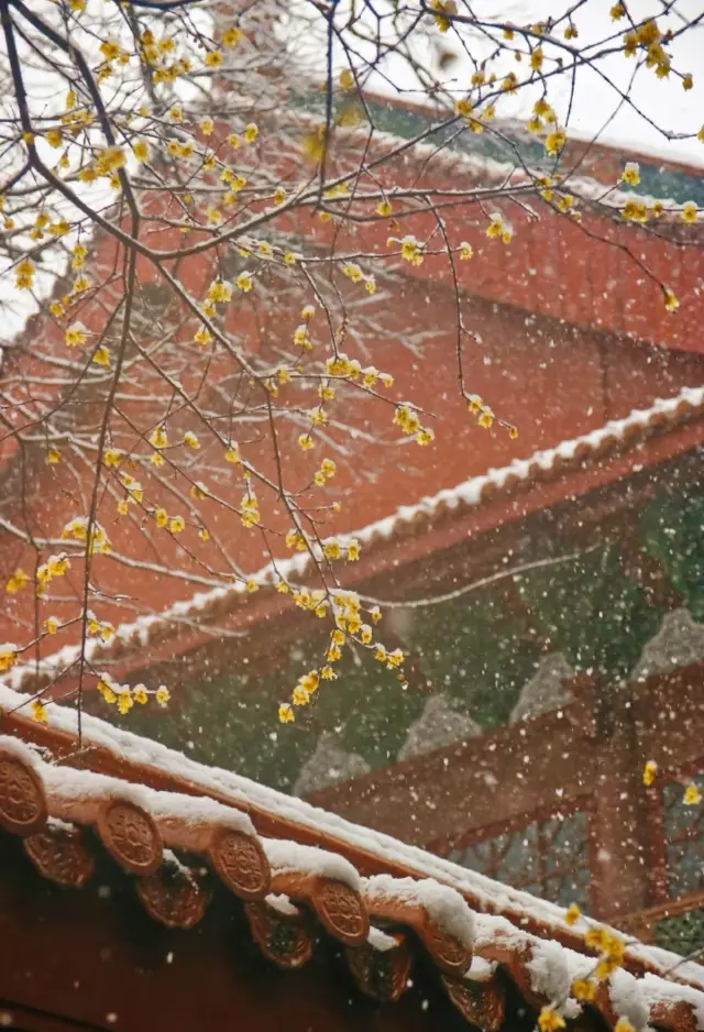 Snowy Hangzhou, the Lin'an City in winter