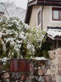 莫干山侘寂風民宿｜雪落山林隱士居