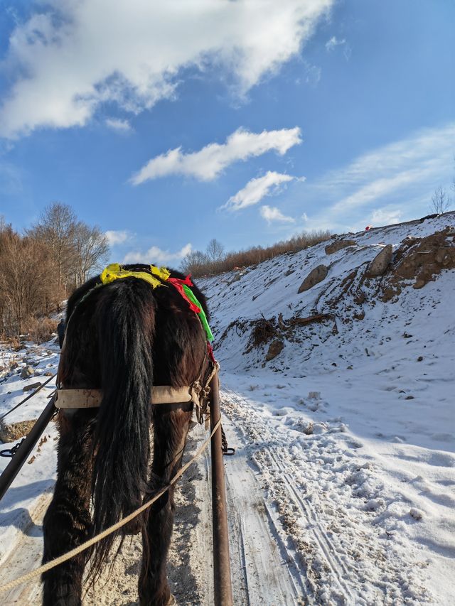 春節哈爾濱雪鄉亞布力之旅