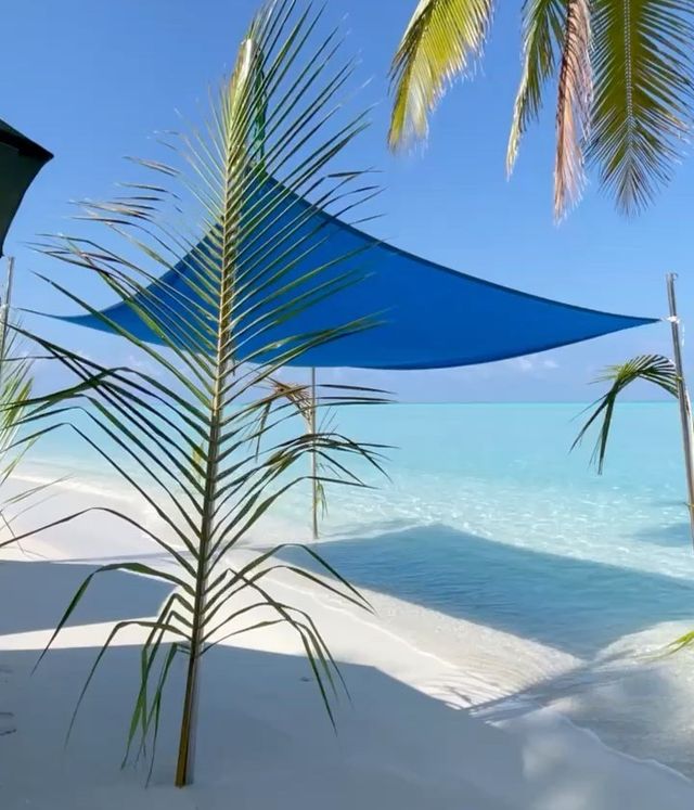 MOST BEAUTIFUL ISLANDS IN
THE MALDIVES 🏝Have you ever been to the Maldives?😍
