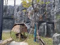 在武漢·武漢動物園新手入園攻