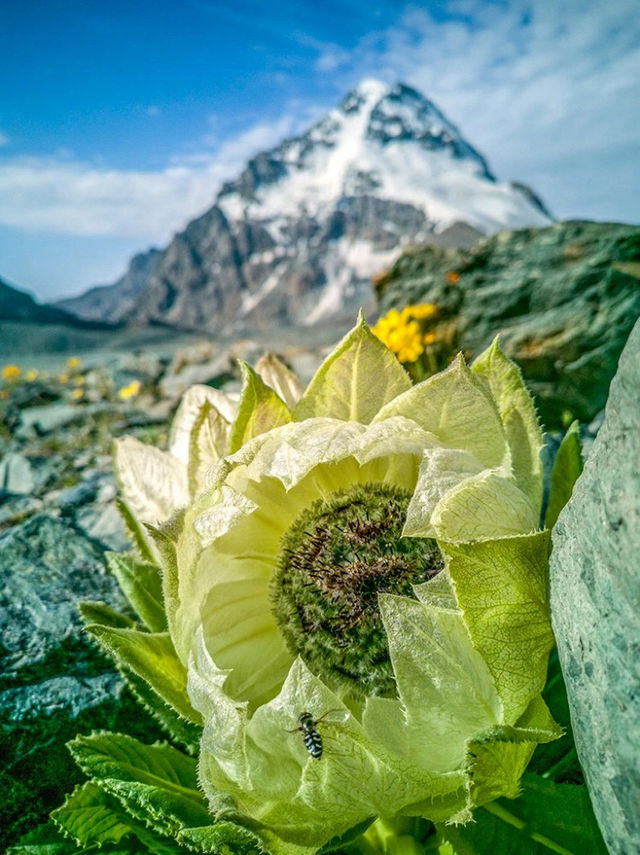 天山博格達峰-屬於烏魯木齊的浪漫