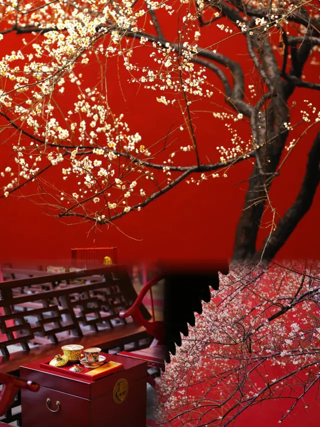 전왕사|홍벽백매 아래의 중국식 미학, 꿈속의 고궁