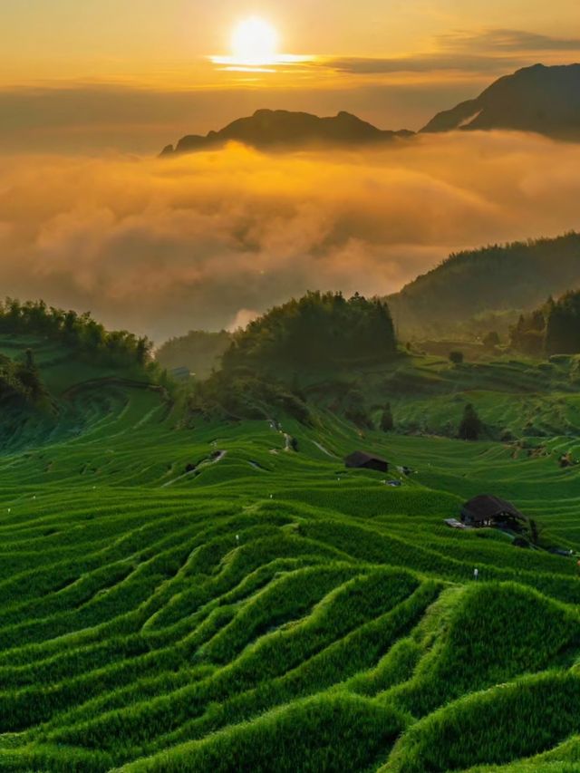 比起松陽！我更愛這個景美人少的小眾旅行地！美呆了！