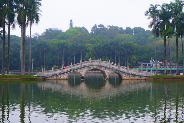 早春三月，來南寧人民公園看花嗎？