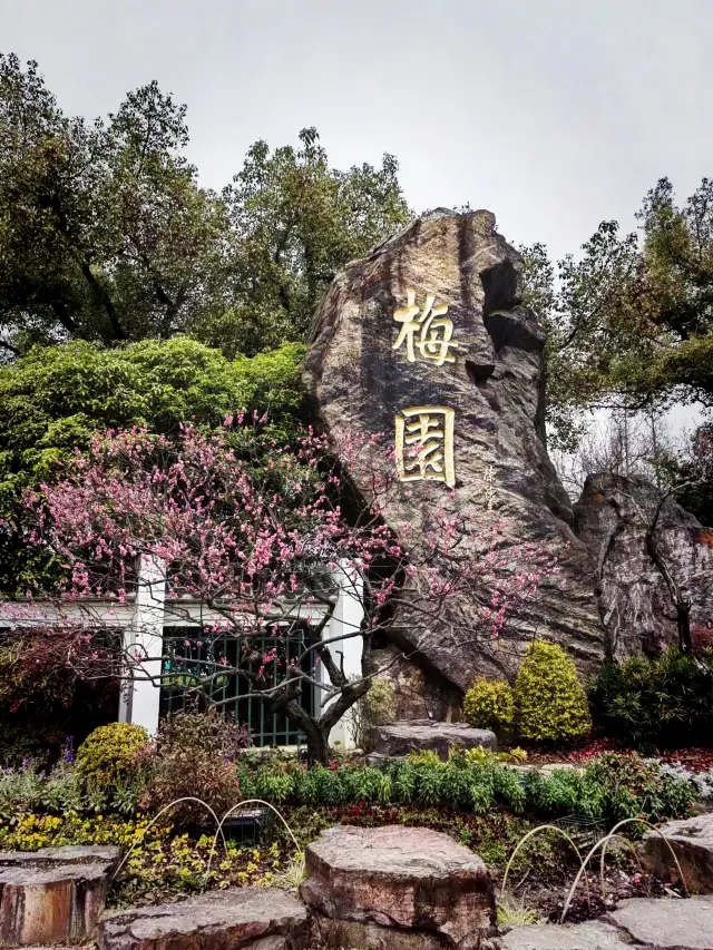 Wuxi's Plum Garden in Jiangsu