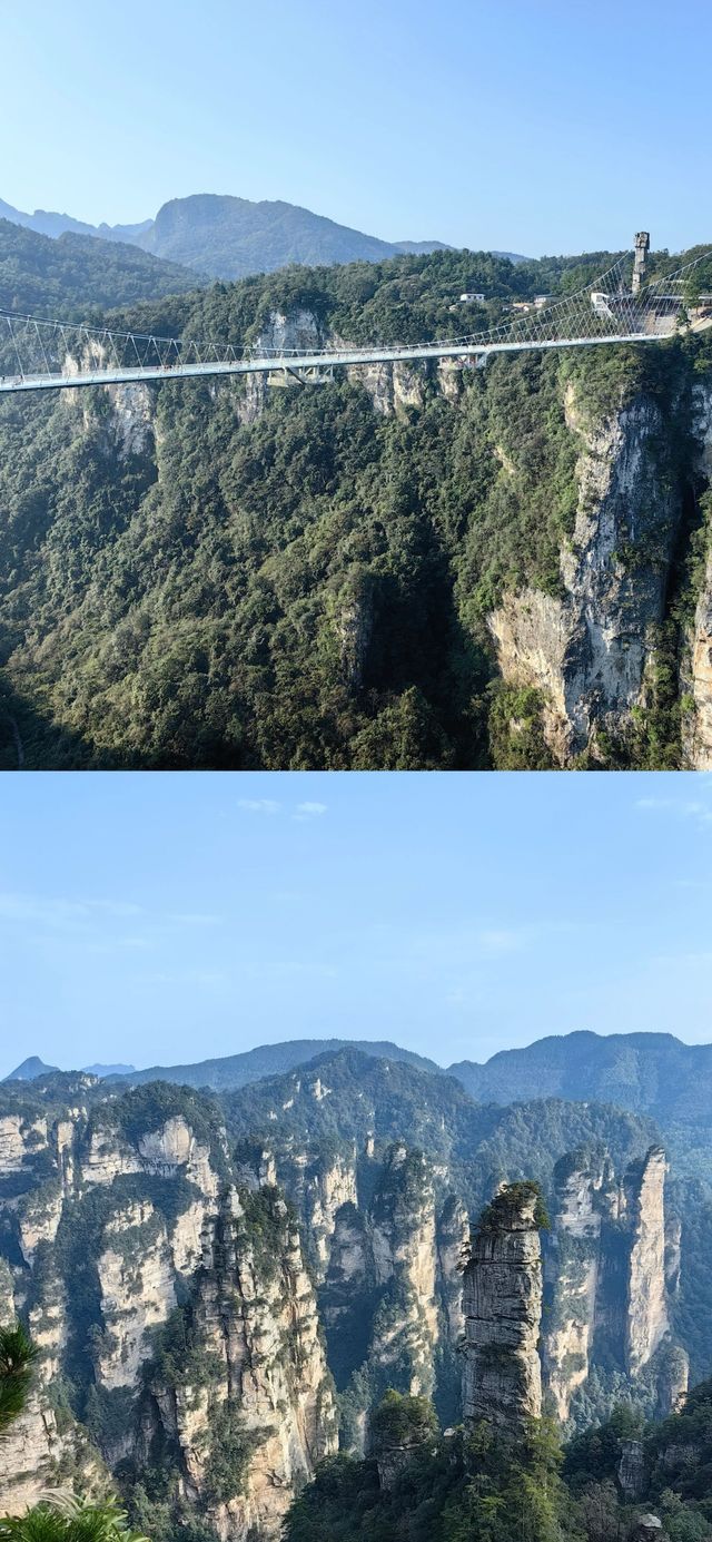✨【후난성 장가계 완전 종합 여행 가이드】☀️
