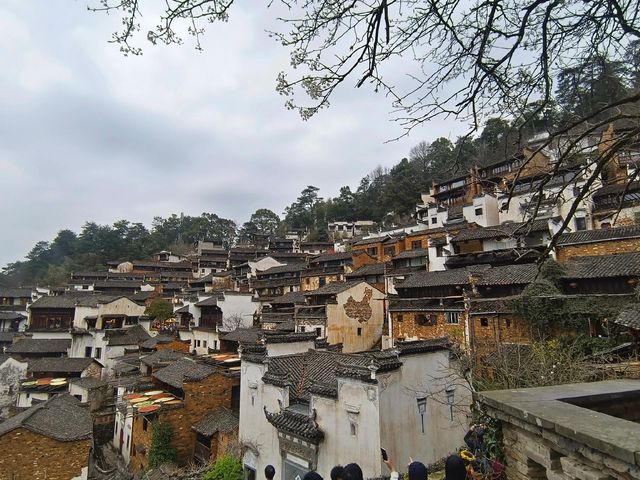 勸退!剛篁嶺旅遊回來，能勸一個是一個