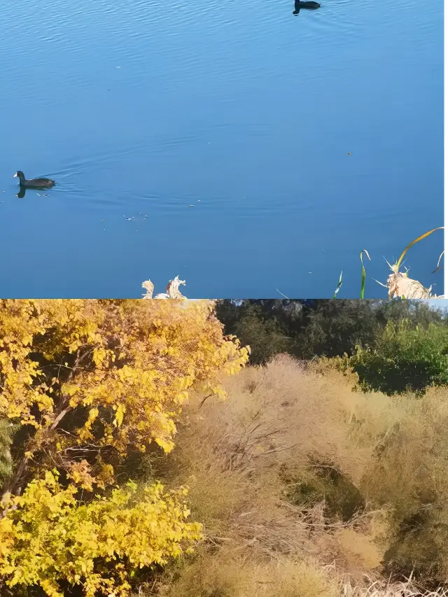 Harbin Wetland Park