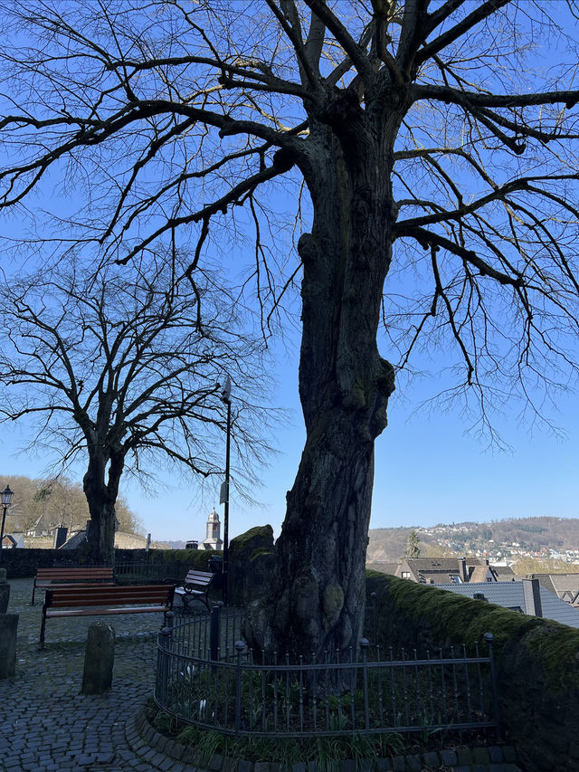 迪倫堡登堡，博物館冬季閉館