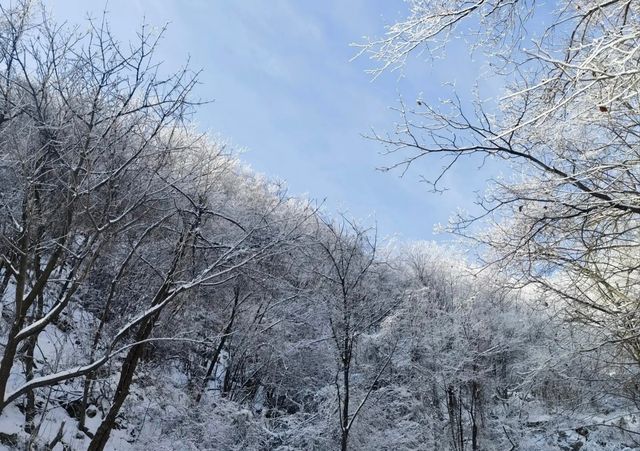 千萬不要去陽白雲山