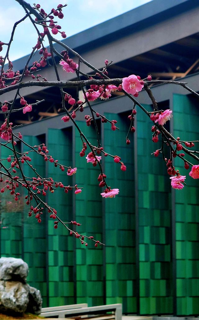 江南史院–杭州國家版本館