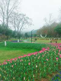 溫州清和公園，飛虹臥波，曲水環繞，鳥語花香