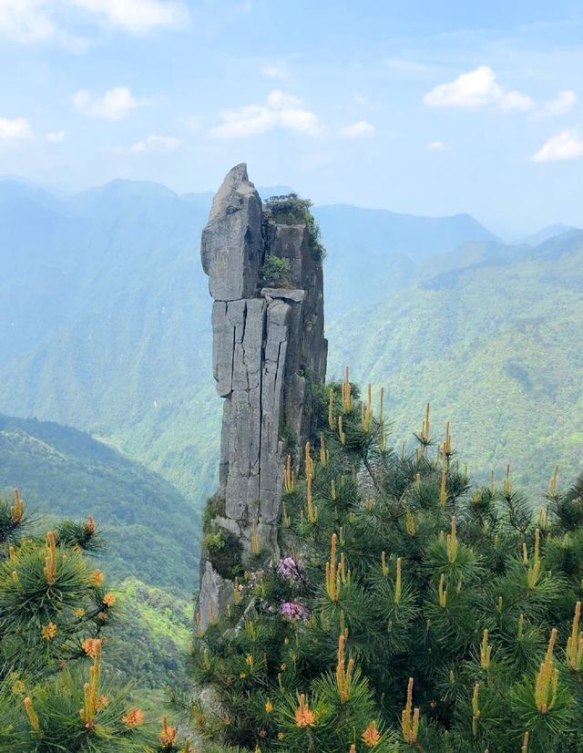 雲中棧道，上過央視新聞，羊獅幕太火了