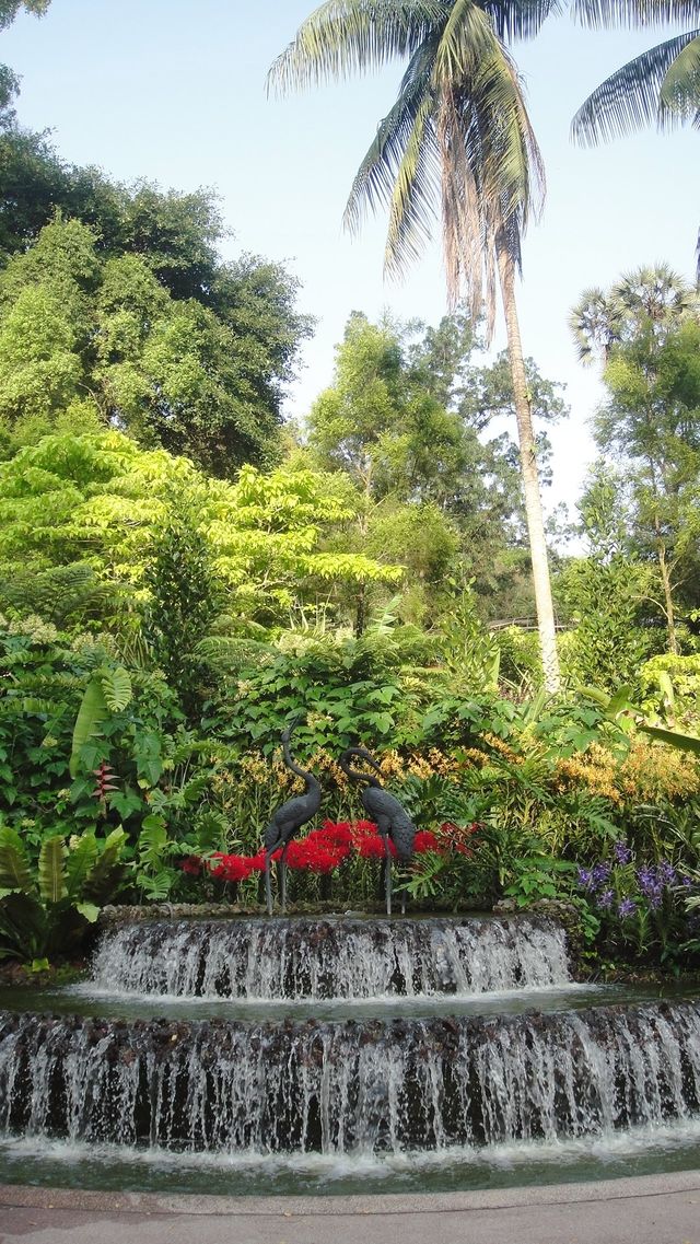 胡姬花原來就是蘭花呀！新加坡植物園值得前往嗎？