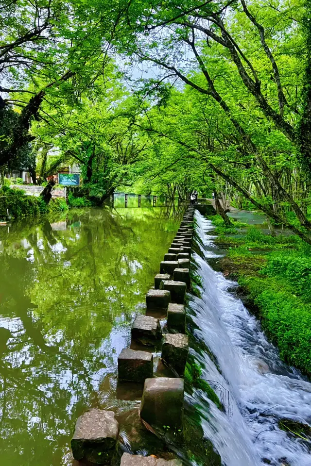 夢迴古徽州｜西溪南古村｜誤入桃花源記